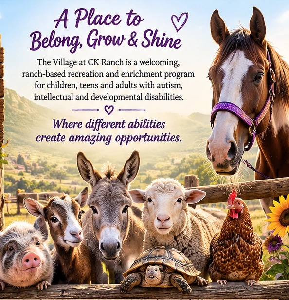 A horse, donkey, sheep, goat, pig, chicken and tortoise at the ranch